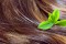 Hair care concept: beautiful healthy shiny hair with highlighted golden streaks and green leaves, closeup shot